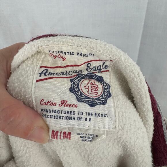 VINTAGE American Eagle Hoodie Sweatshirt Men Size Medium AE 77 Eagle Varsity - Picture 2 of 7